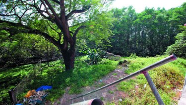 Disputan finca en Coco del Mar