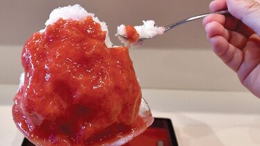 Un helado de moda salva a fabricantes de hielo natural