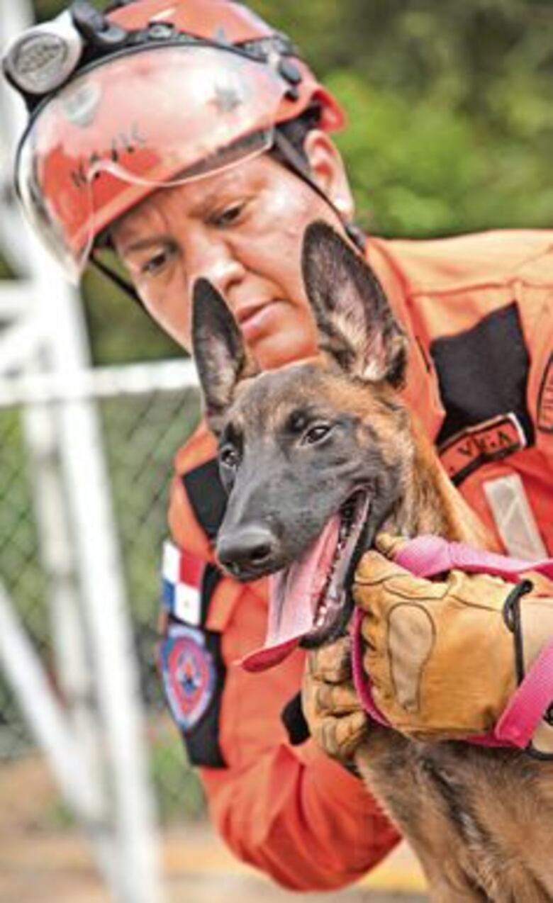 Compran y entrenan a seis cachorros para la JMJ
