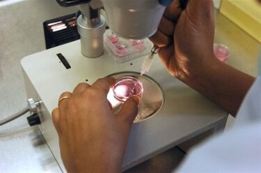 ONU felicita a Costa Rica por habilitar fertilización in vitro