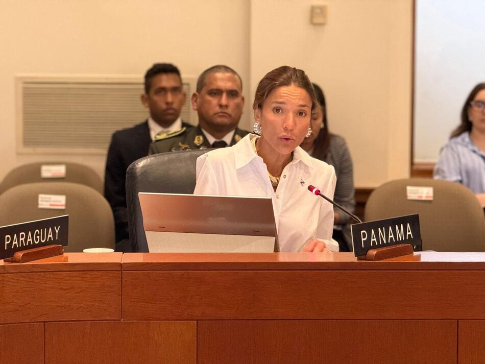 Panameña Ana Irene Delgado presidirá la Comisión de Seguridad Hemisférica de la OEA