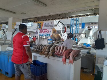 Mercado de Marisco de Panamá: escasez y precios al alza ante el inicio de la Cuaresma