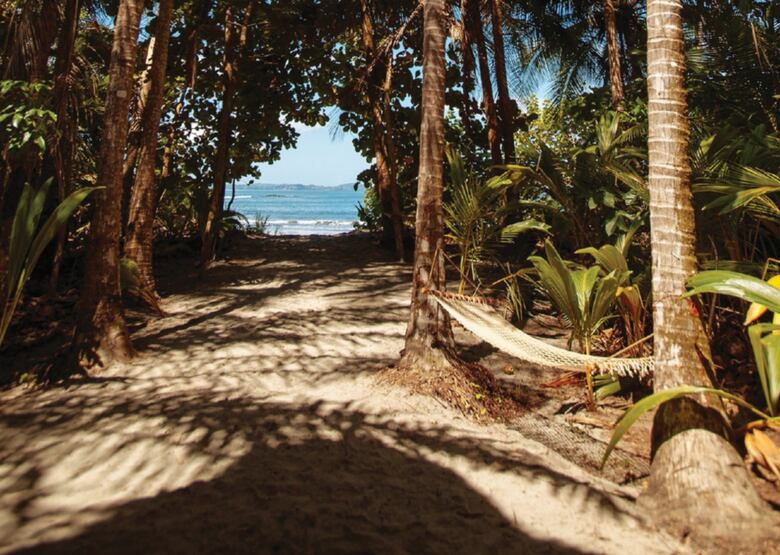 Dónde vivir un sueño