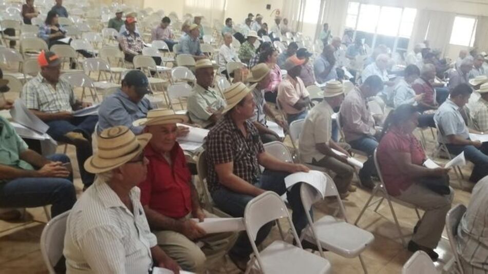 Ganaderos santeños piden reunión con ministro de Desarrollo Agropecuario