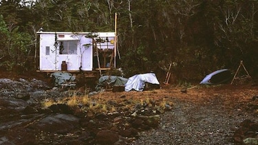 Las lecciones que aprendió el hombre que vivió durante un año solo con su gato en una remota isla de la Patagonia chilena