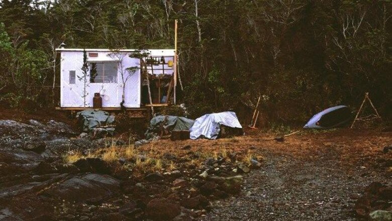 Las lecciones que aprendió el hombre que vivió durante un año solo con su gato en una remota isla de la Patagonia chilena