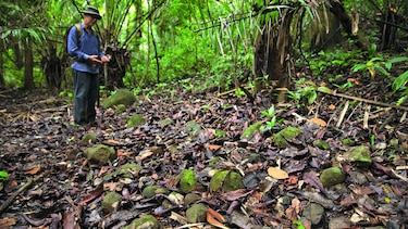 Por la ruta Gorgona