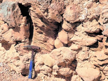 La historia contada por fósiles