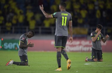 Argentina sufre pero sigue viaje a Catar; el VAR juega en el empate de Colombia y Ecuador