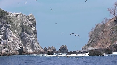 Alcalde de Taboga no fue autorizado a vender Boná