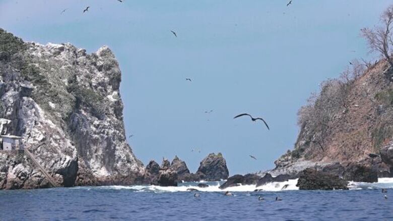 Alcalde de Taboga no fue autorizado a vender Boná