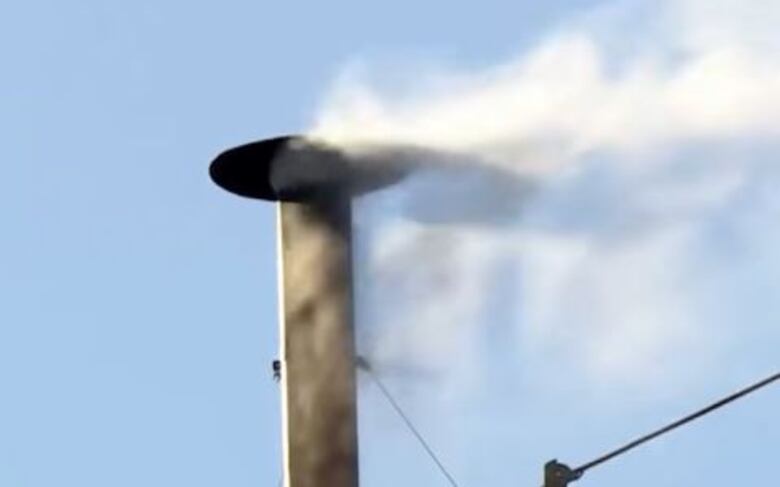 Fumata blanca en el Vaticano: los cardenales eligen nuevo papa