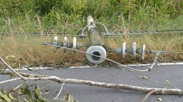 Fuertes vientos en Chiriquí provocan caída de árboles y voladuras de techos
