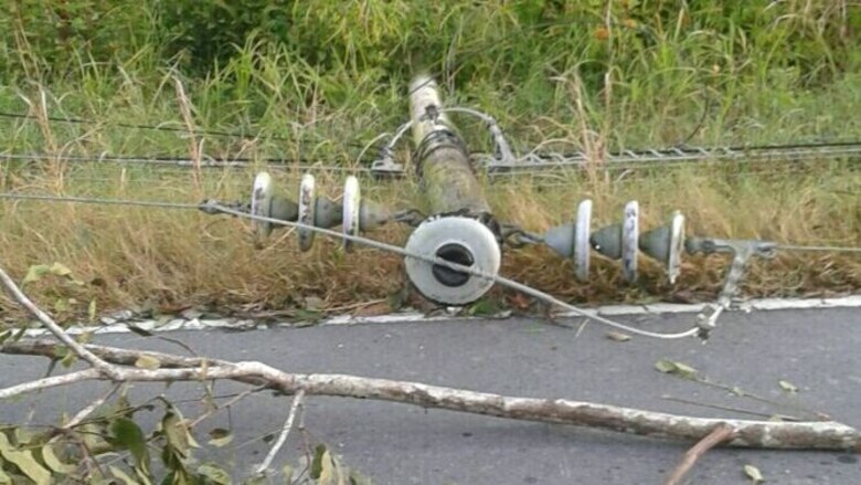 Fuertes vientos en Chiriquí provocan caída de árboles y voladuras de techos