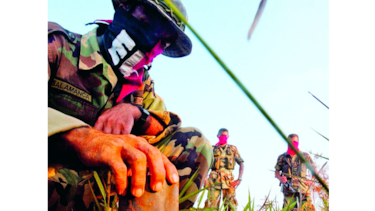 ELN niega implicación en presunto secuestro