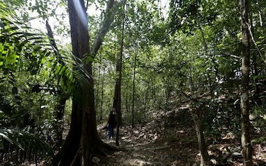 Estas son las 14 áreas protegidas que abrirán al público a partir de este lunes