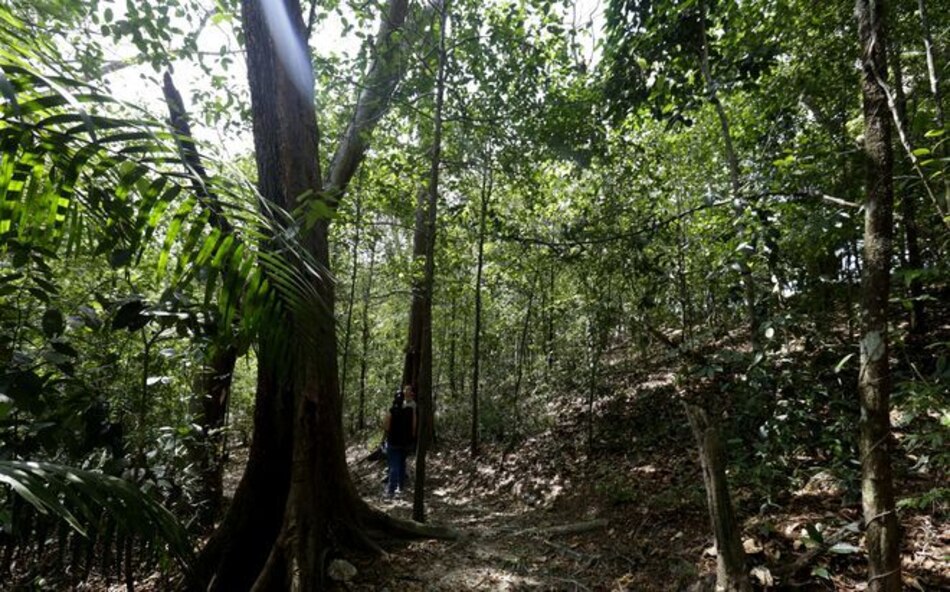 Estas son las 14 áreas protegidas que abrirán al público a partir de este lunes