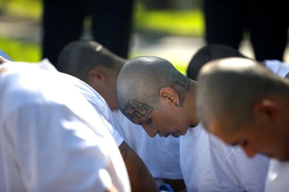 Altos mandos de Mara Salvatrucha huyeron de El Salvador a México, dice gobierno