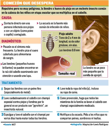Niños y piojos, a la escuela