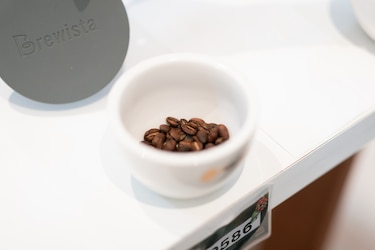 Los reyes del café geisha, estos fueron los ganadores del Best of Panamá 2026