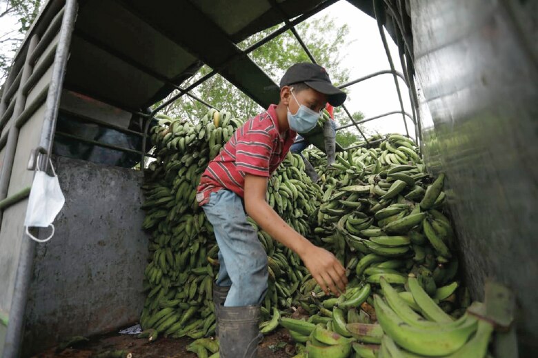 Cafetaleros de Renacimiento exigen la presencia del Gobierno en la zona