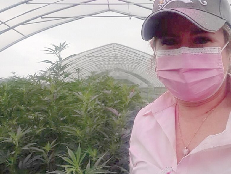 Cannabis, el viaje secreto de cinco funcionarios a Estados Unidos