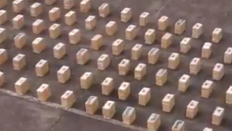 Senan decomisa 603 paquetes de sustancias ilícitas en costas de Punta Coco