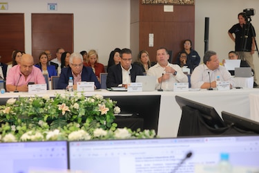 Vicepresidentes y subsecretarios de partidos políticos quedarían sin fuero penal electoral