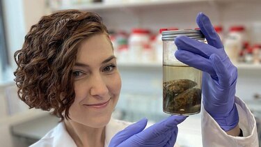 La científica que colecciona cerebros antiguos y busca descifrar por qué pueden perdurar hasta miles de años