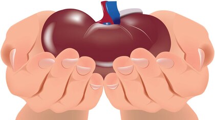 9 mitos sobre trasplante y donación de órganos