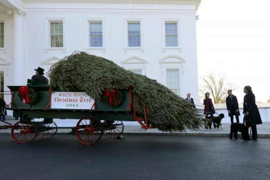Michelle Obama y sus hijas reciben el árbol de Navidad de la Casa Blanca