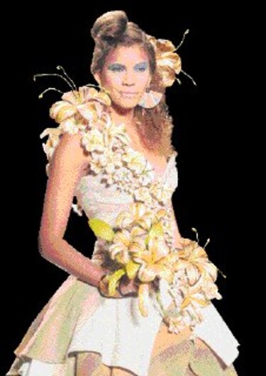 Colombia Moda