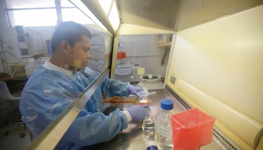 Gorgas: Cepas del virus llegaron todas a Panamá entre febrero y marzo