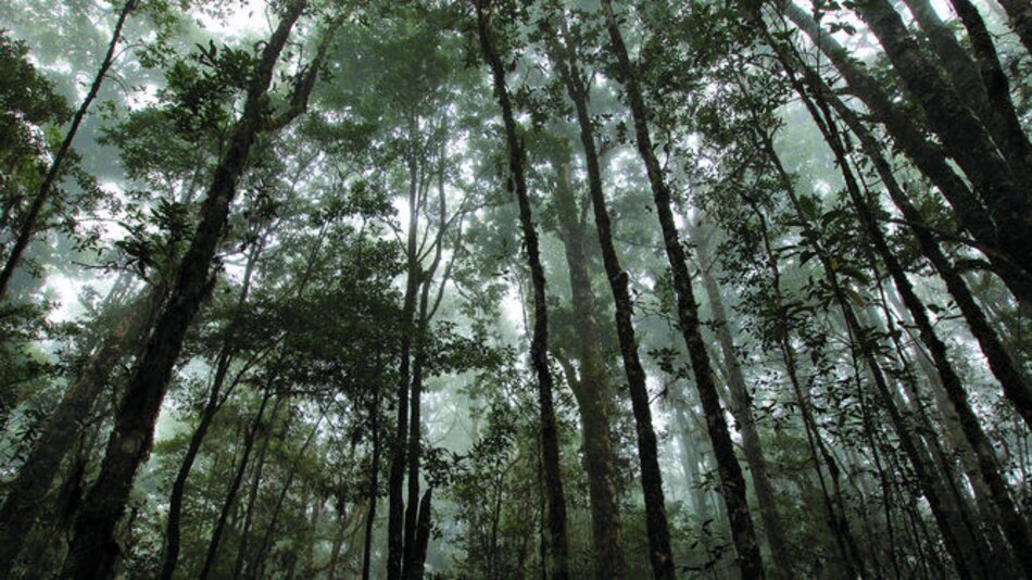 Un paraíso de biodiversidad