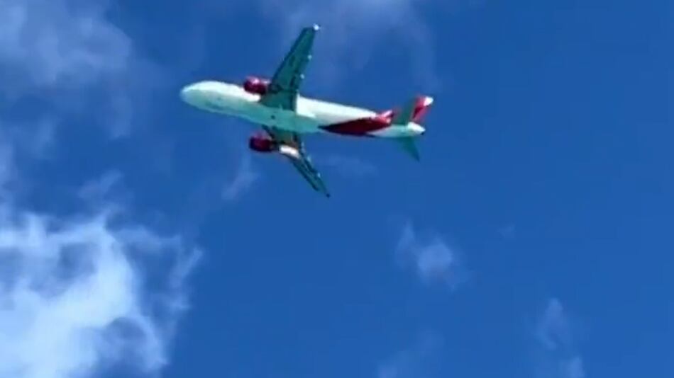 Un ave impactó un avión de Avianca