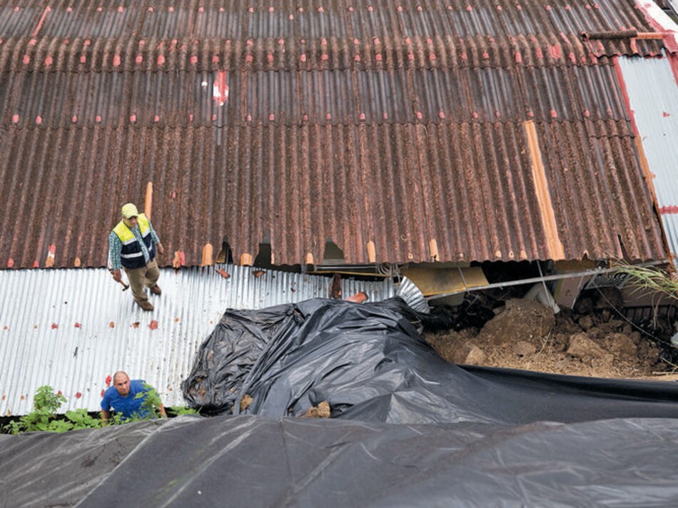 Técnicos evalúan erosión en Bosque de Las Cibeles