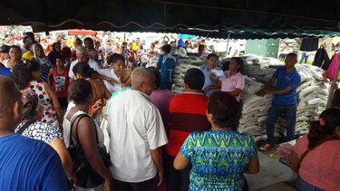 Empujones y quejas en el primer día de las ferias navideñas del IMA