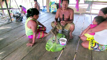 Una alternativa desdeñada