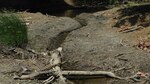 Cisternas suplen de agua a comunidades de Parita