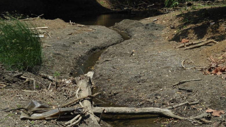 Cisternas suplen de agua a comunidades de Parita