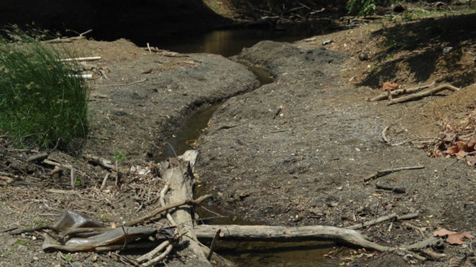 Cisternas suplen de agua a comunidades de Parita