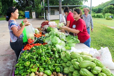 Agroferias: IMA anuncia lugares y horario para este lunes 27 y martes 28 de julio