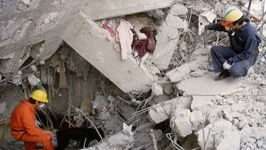 "No corro, no grito, no empujo": qué cambió en Ciudad de México tras el devastador terremoto que dejó miles de muertos hace 40 años