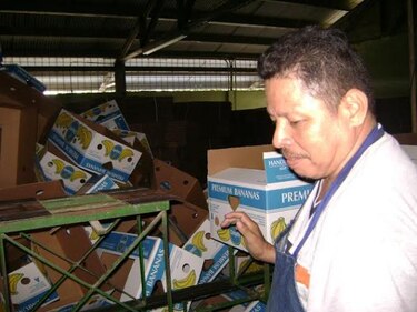 Decreto anula Coosemupar y permite inversión en Barú