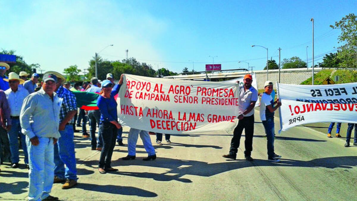 Los productores de arroz aseguran que, de no llevarse a cabo la reunión pautada para la próxima semana con el presidente Juan Carlos Varela, retomarán nuevamente las calles.