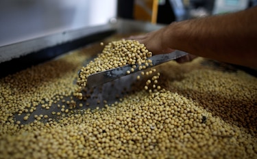 Grupo argentino protesta contra sede de Monsanto