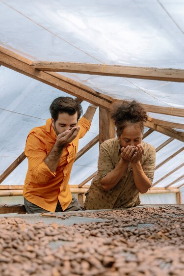 Las dos caras del cacao