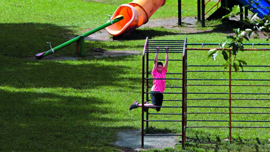 Empresas tienen hasta el 17 de abril para presentar propuestas sobre limpieza de áreas verdes en el parque Omar