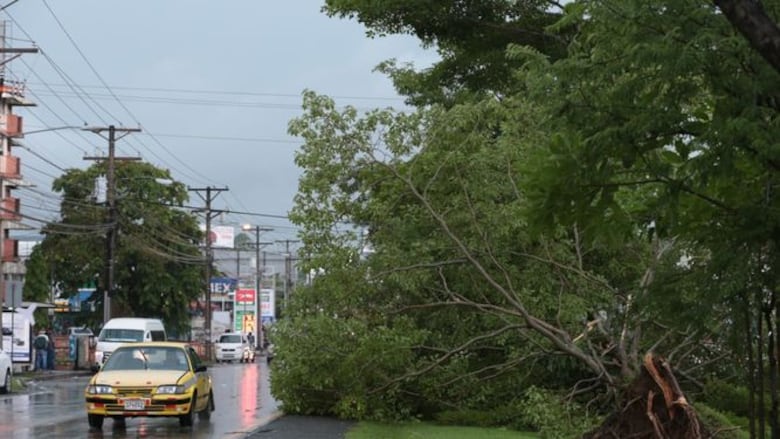 Caída de árboles y desprendimiento de techos debido a sistema de mal tiempo