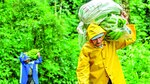 La cartelera de Panalandia